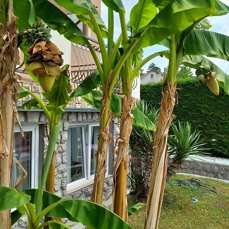 Apartman Marija Kastav Luaran gambar